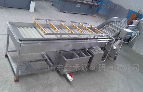 秋意正濃公司 引領(lǐng)產(chǎn)業(yè)革新，新型果蔬清洗風(fēng)干流水線(xiàn)與先進(jìn)汽輪機(jī)同步上市